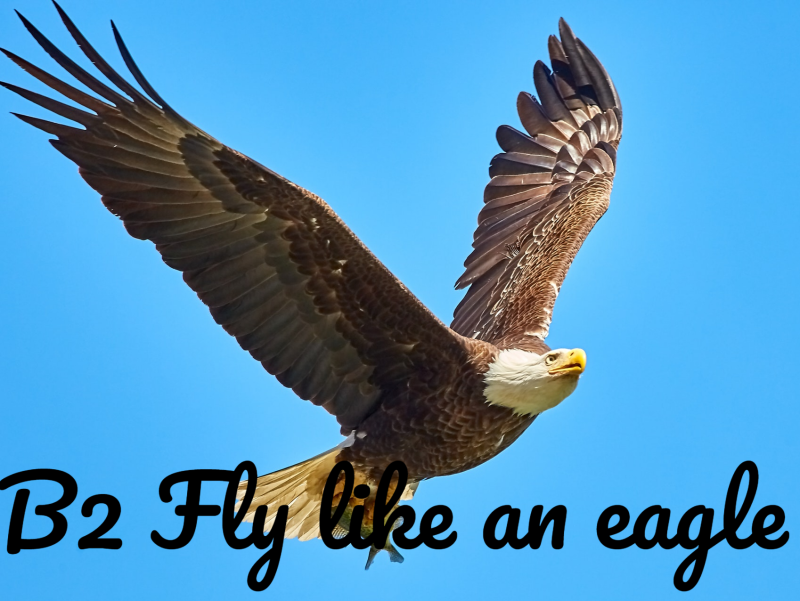 B2 Fly like an eagle