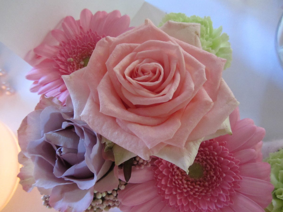 (c) Oncolifecoachsandra.be