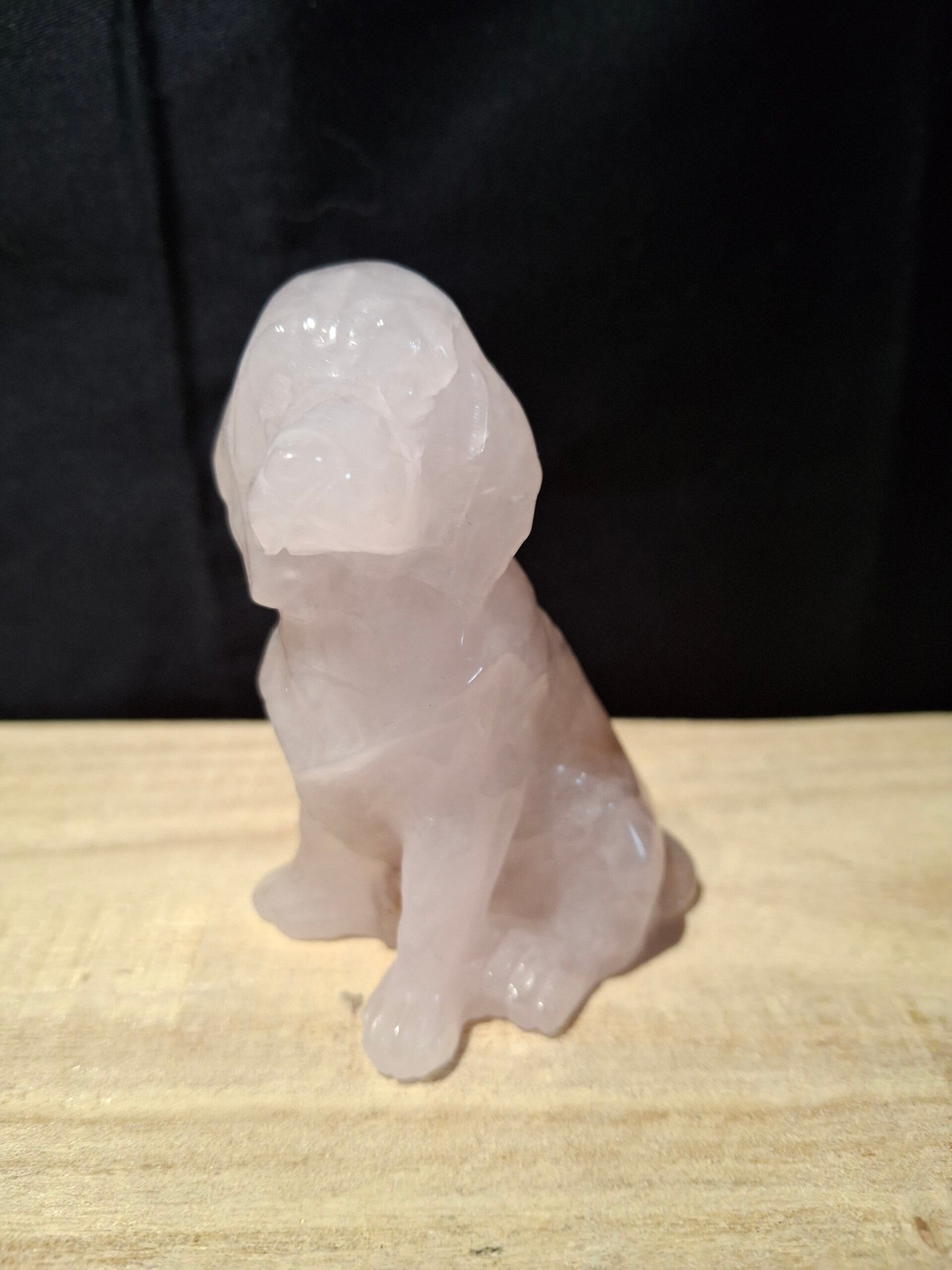 Rozenkwarts golden retriever