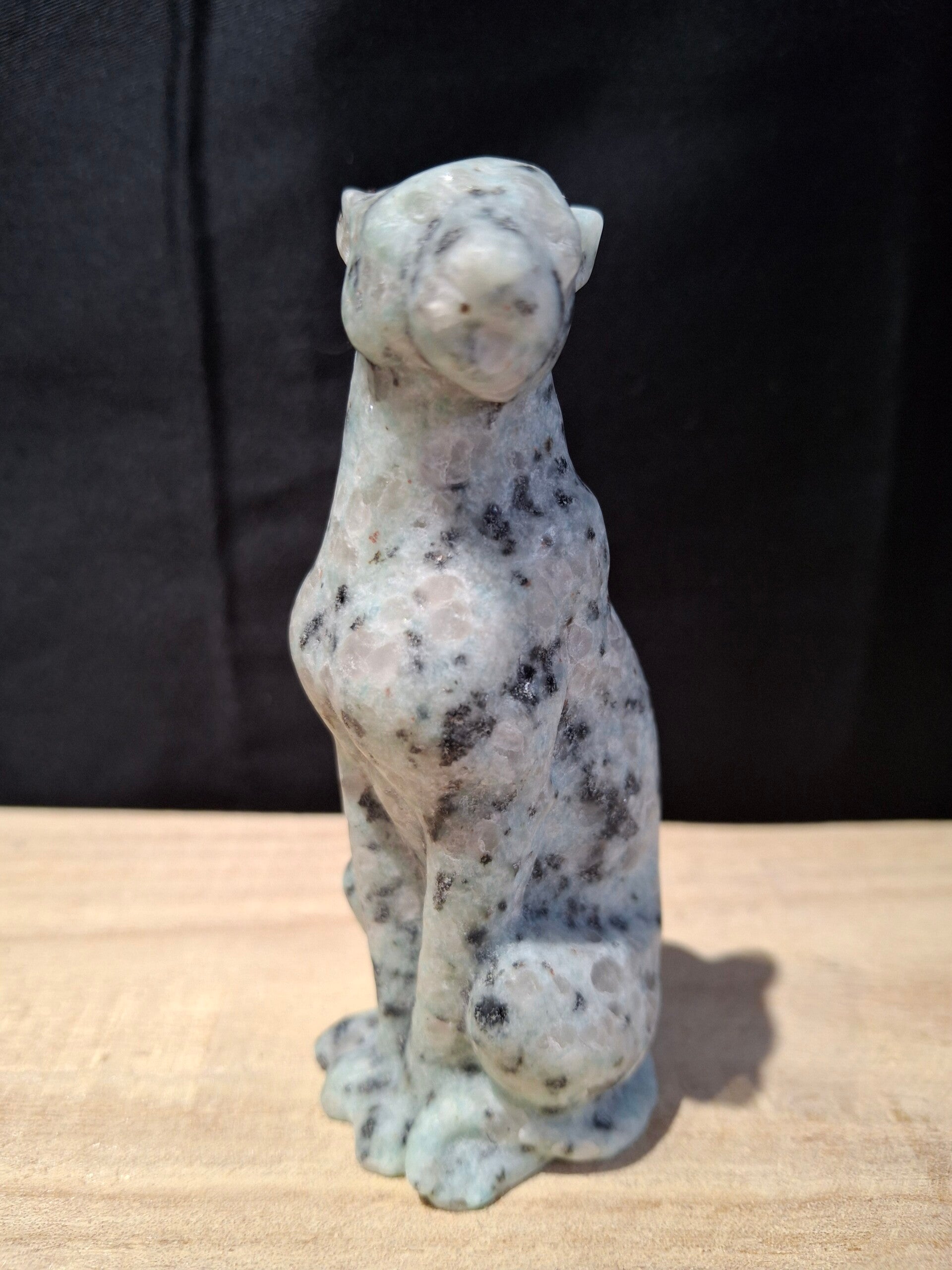 Kiwi Jaspis luipaard