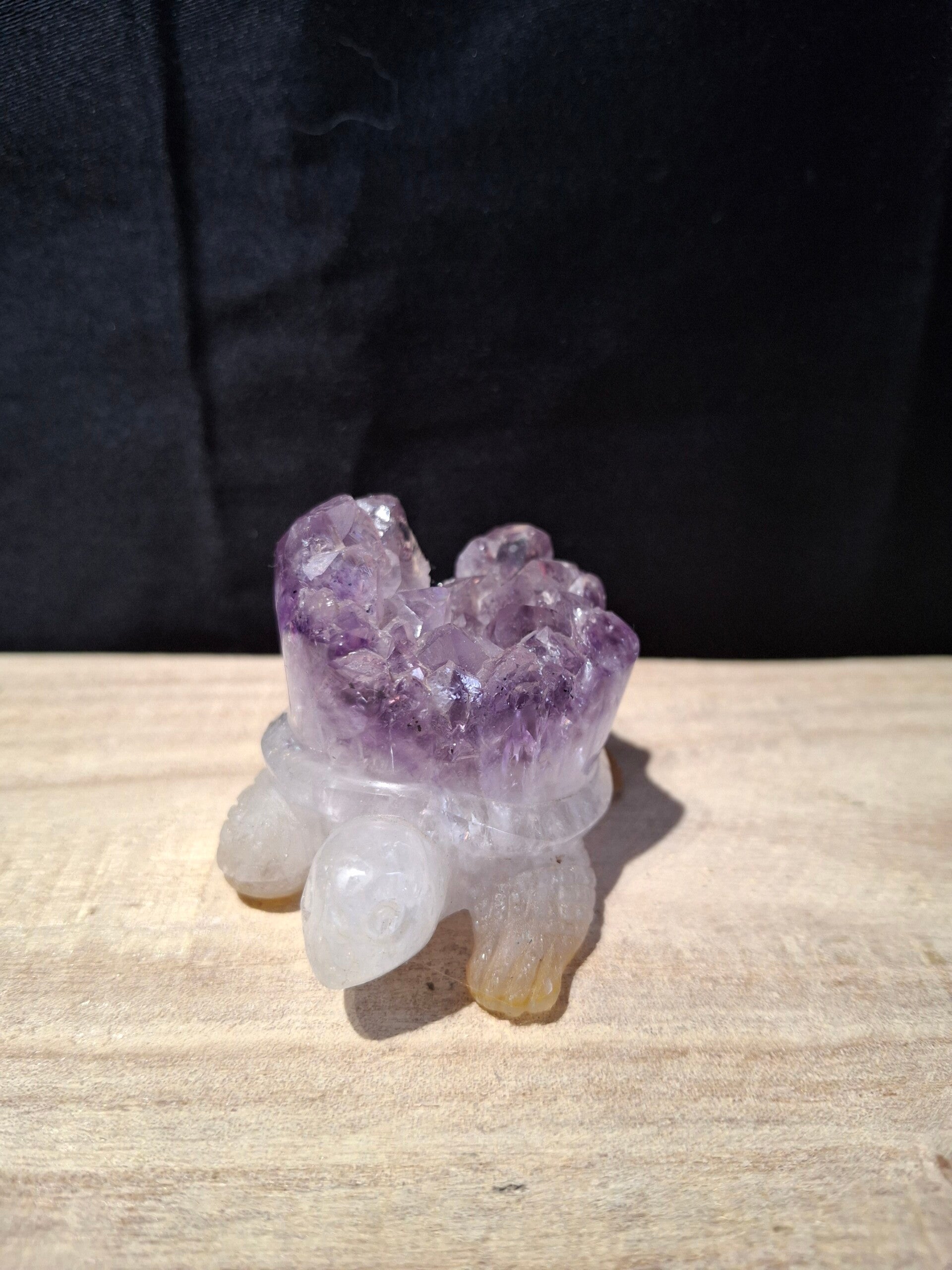 Amethist schildpad met druzy