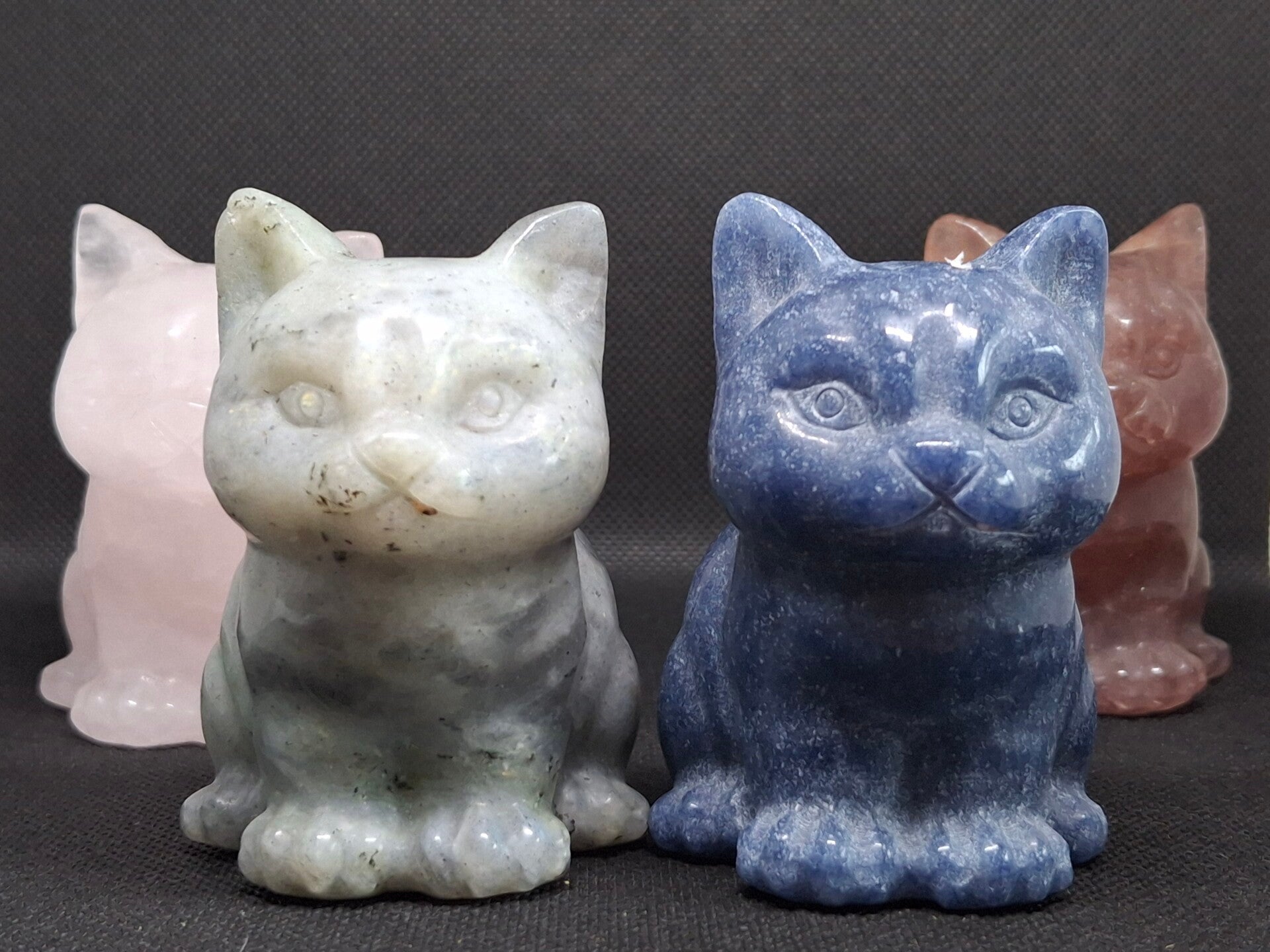 Grote zittende kat diverse soorten