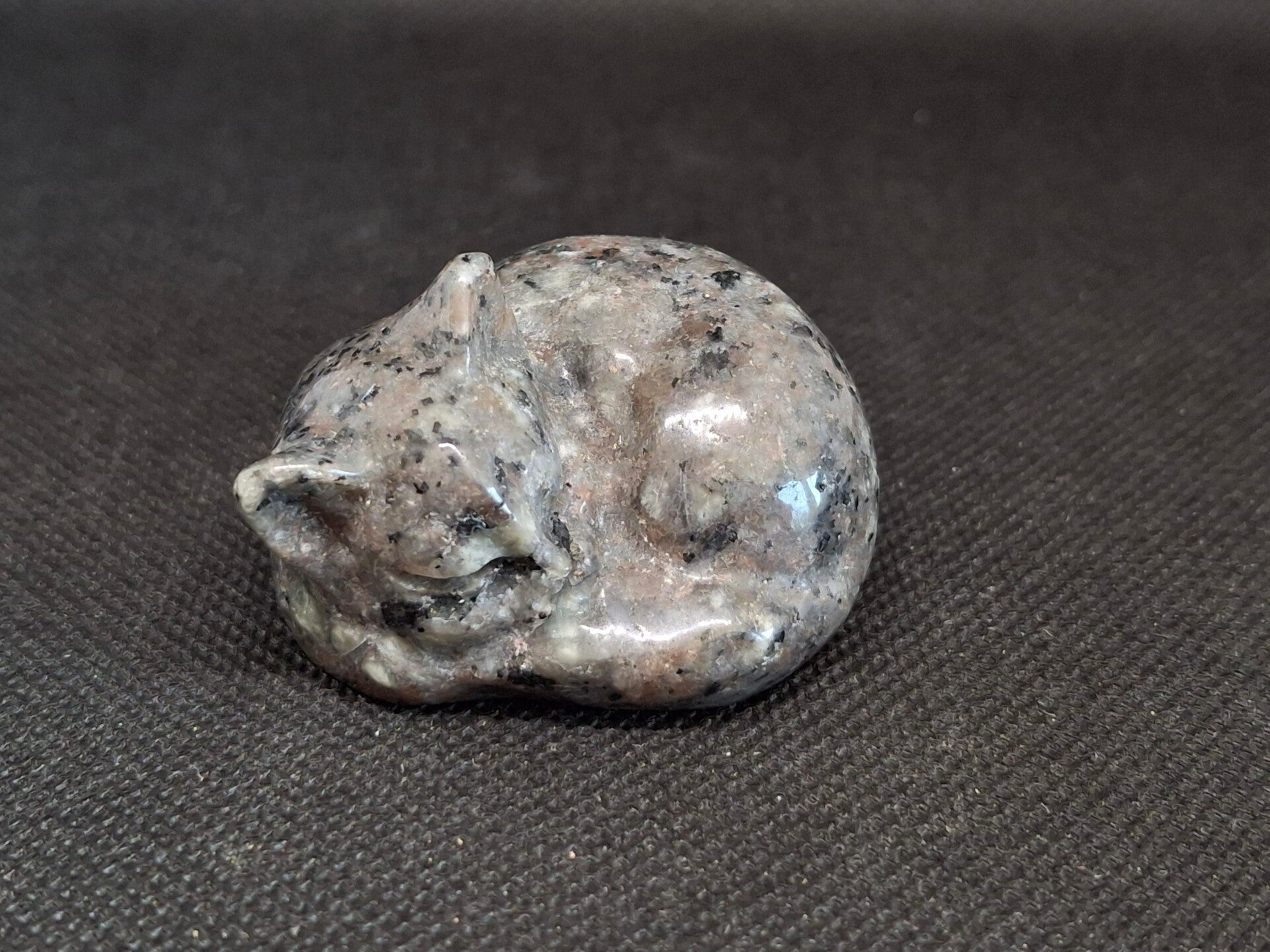 Slapende Yooperlite kat