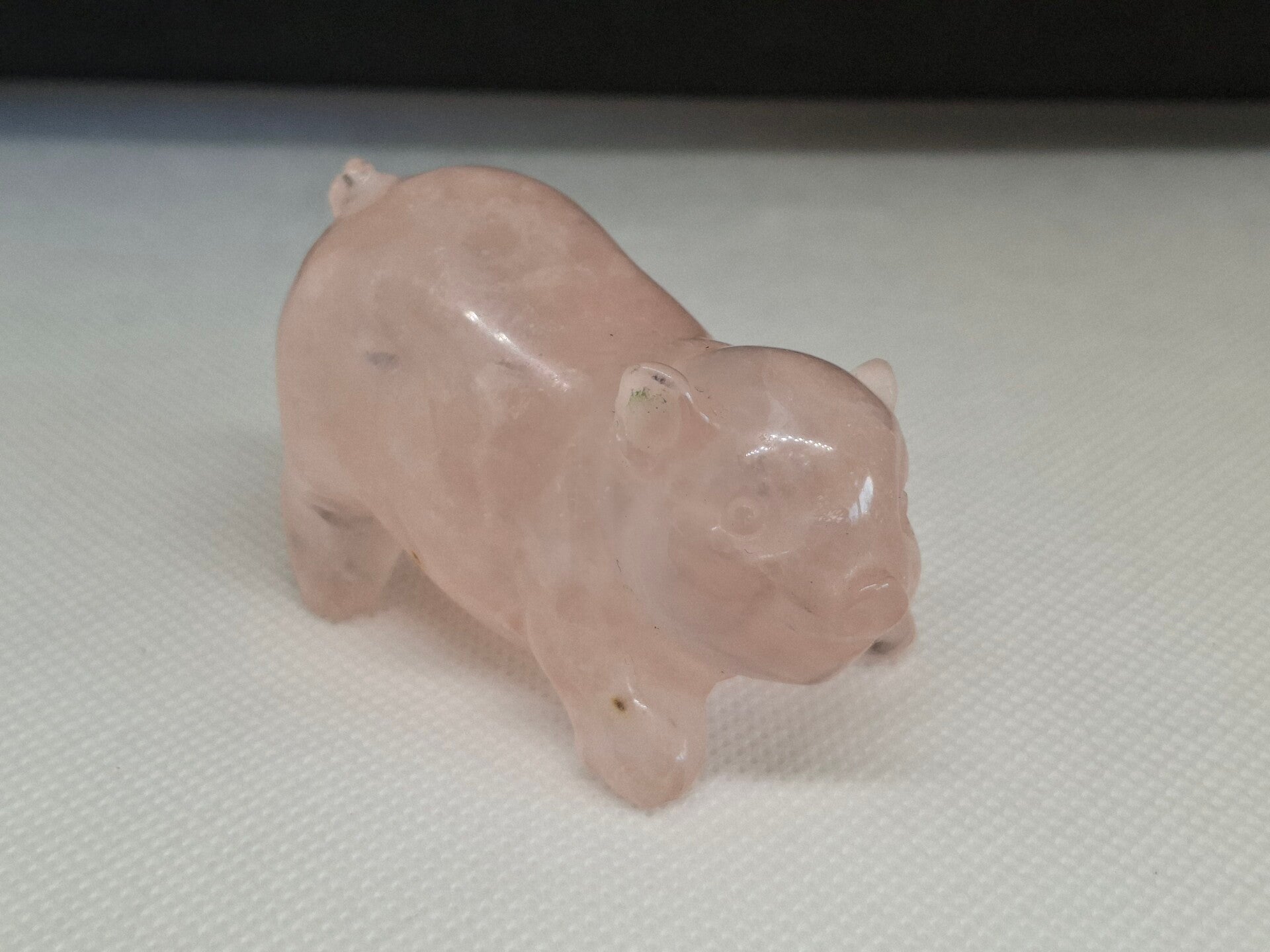 Rozenkwarts varkentje