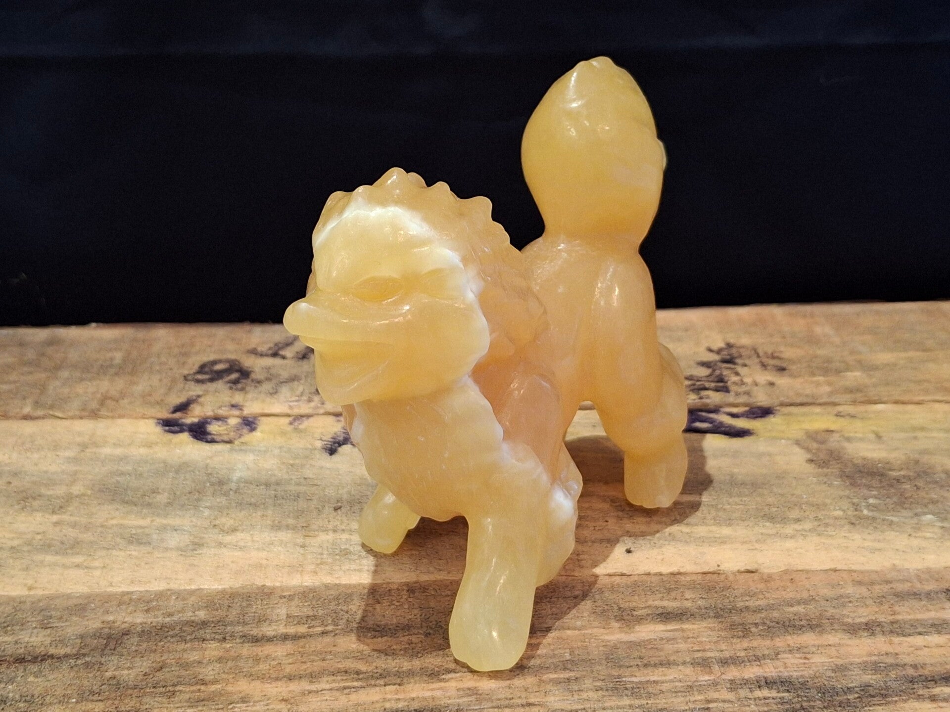 Pokémon honing calsiet Arcanine