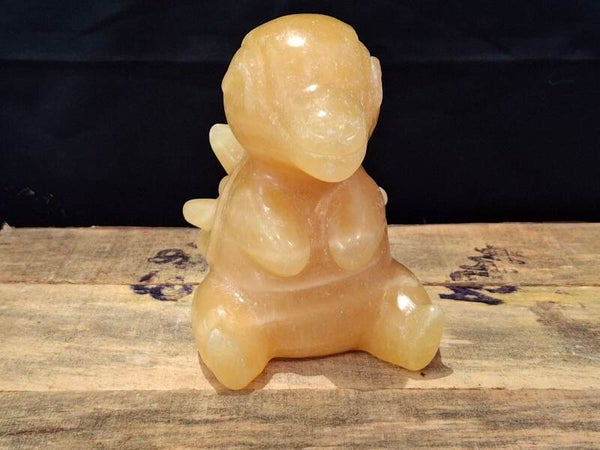 Pokémon honing calsiet Cyndaquil