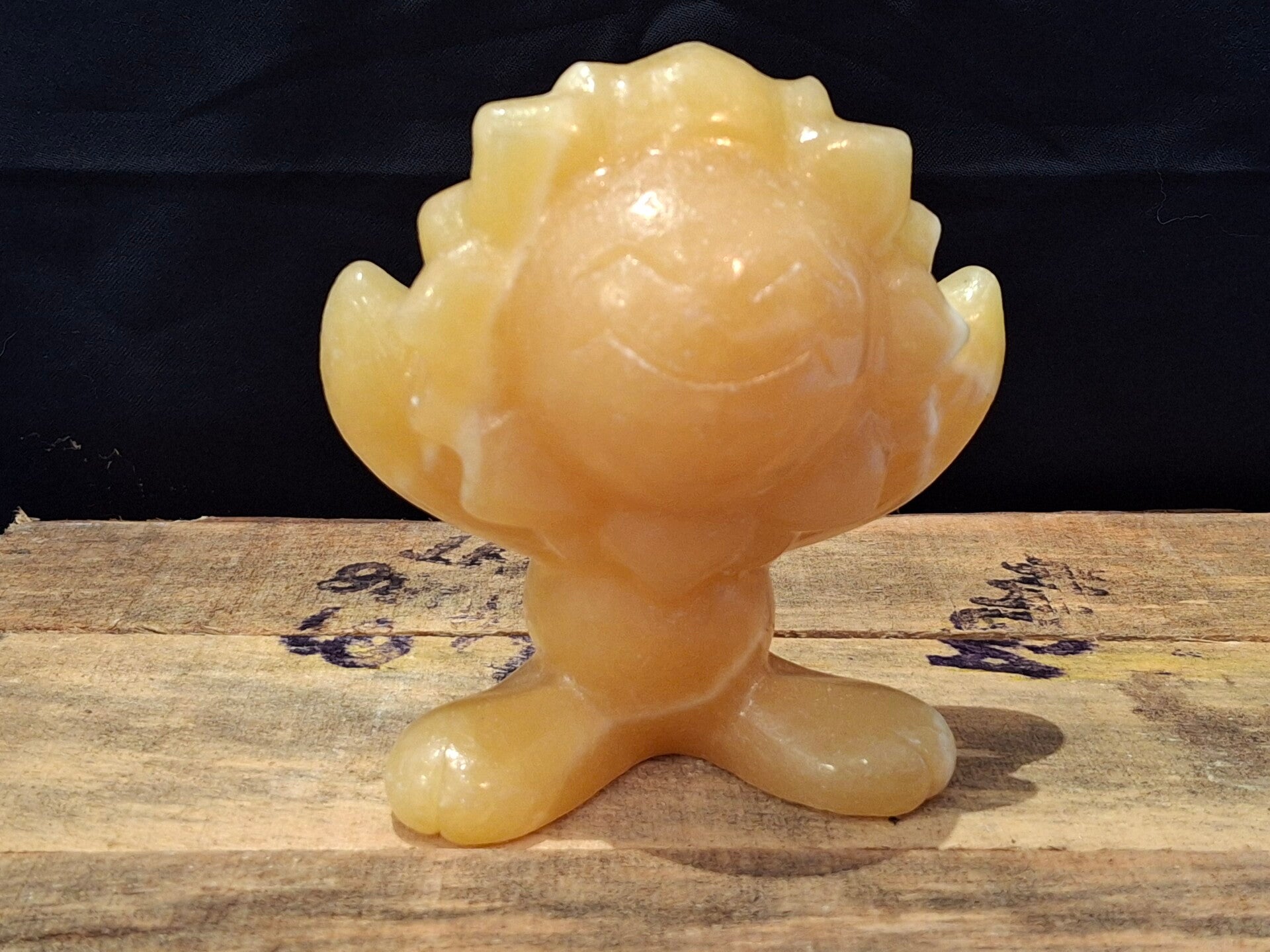 Pokémon honing calsiet Sunflora