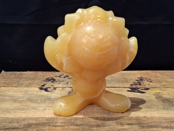 Pokémon honing calsiet Sunflora