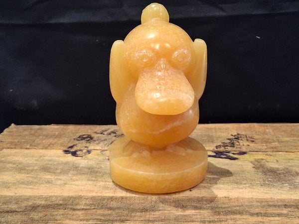 Pokémon honing calciet Psyduck