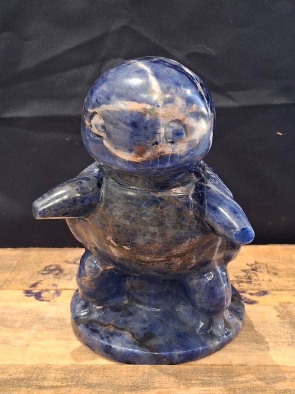 Pokémon sodaliet Squirtle