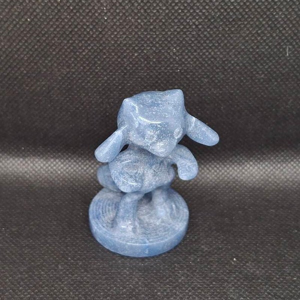 Riolu Pokémon