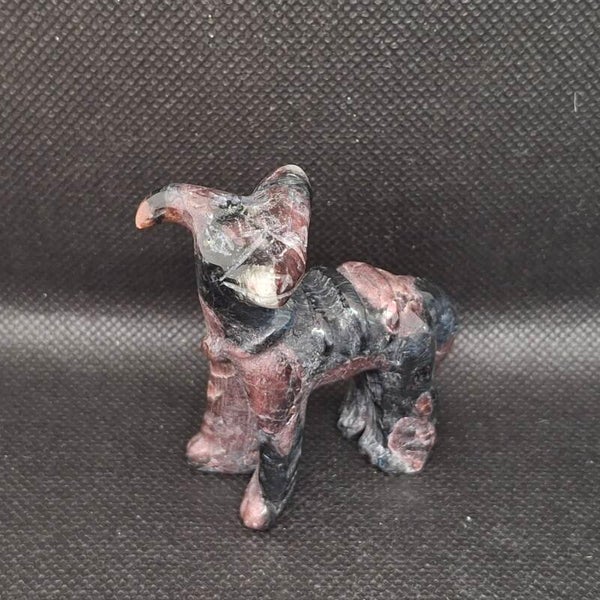 Houndoom Pokémon