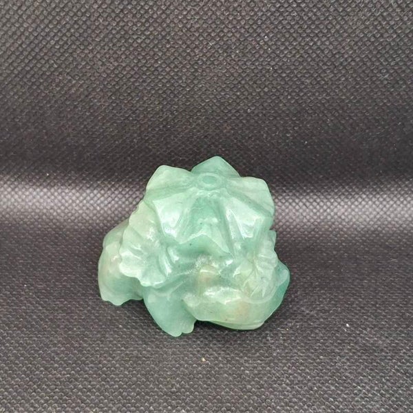 Venusaur Pokémon