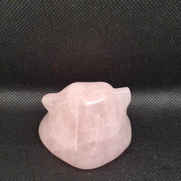 Ditto Pokémon