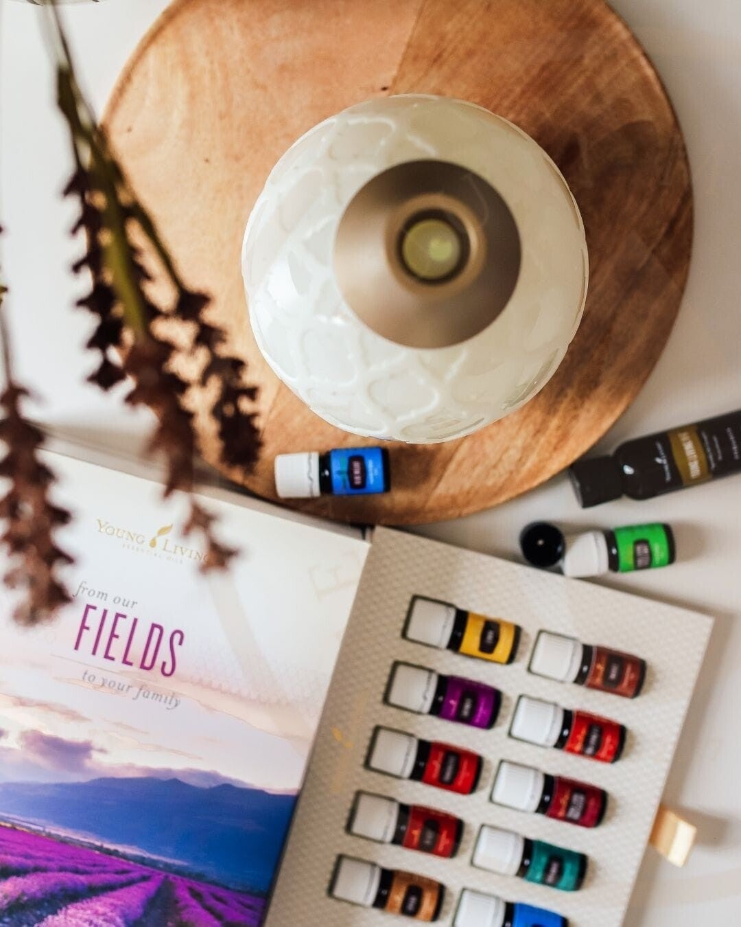 Premium Starterkit Dessert Mist