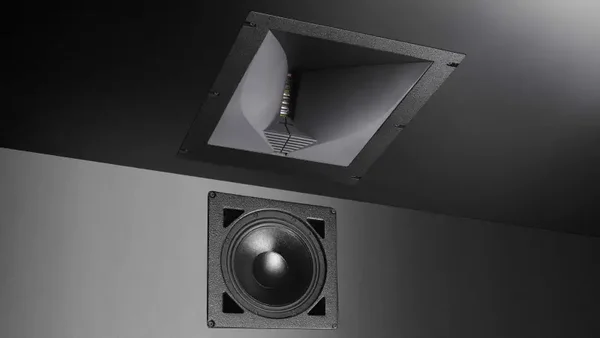 ASCENDO THE DIRECTOR PRO ACTIF EXT. FLUSH