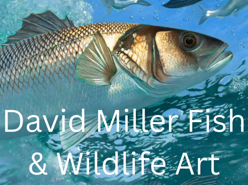 david-miller-fish-wildlife-art-1-standard-suin43.png