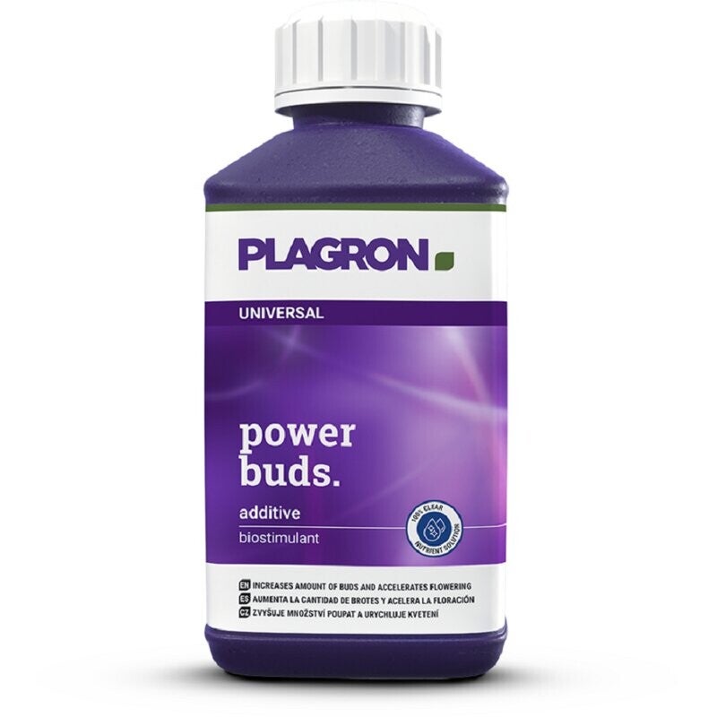 Plagron Power Buds