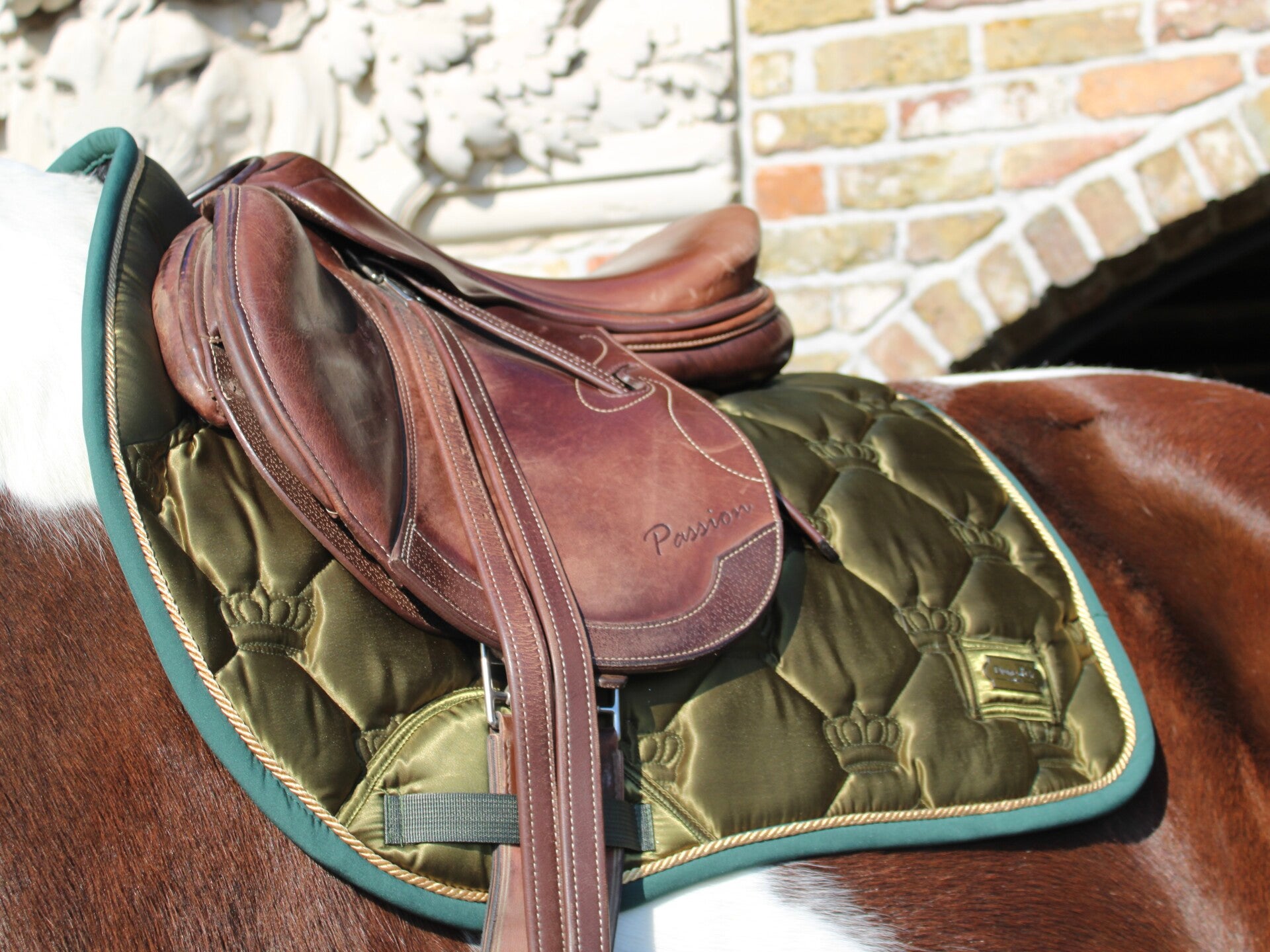 Emerald Allure - Zadeldekje ♘