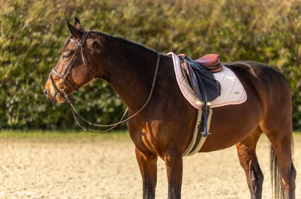 Rosé Elégance - Zadeldekje