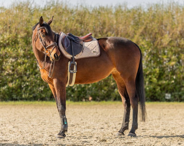 Mocca Dream - Zadeldekje