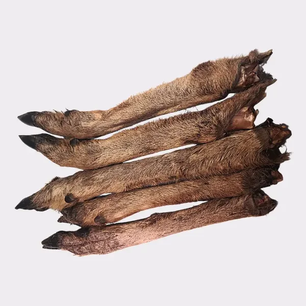 Venison Deers Legs 10Pcs