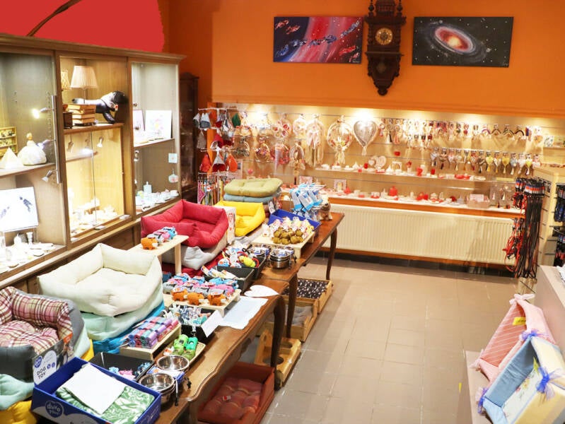 Le magasin - Domaine de l'empereur -chiot-morkie-maltzu