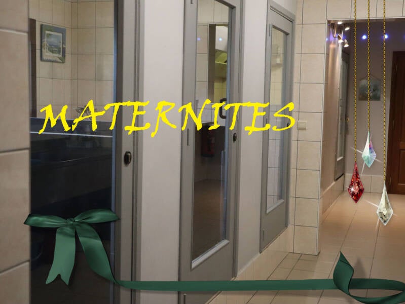 La maternité-Chiot- Domaine de l'empereur