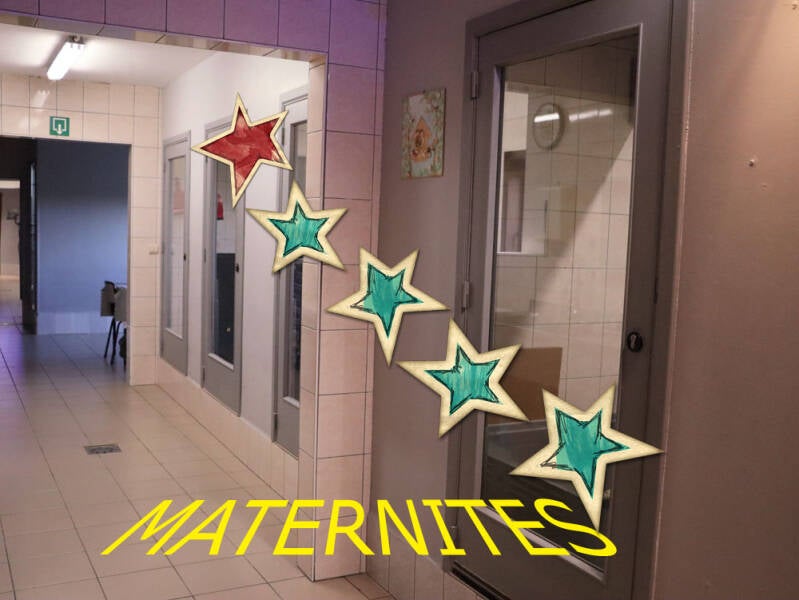 La maternité-Chiot- Domaine de l'empereur