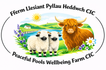 Peaceful Pools Wellbeing Farm