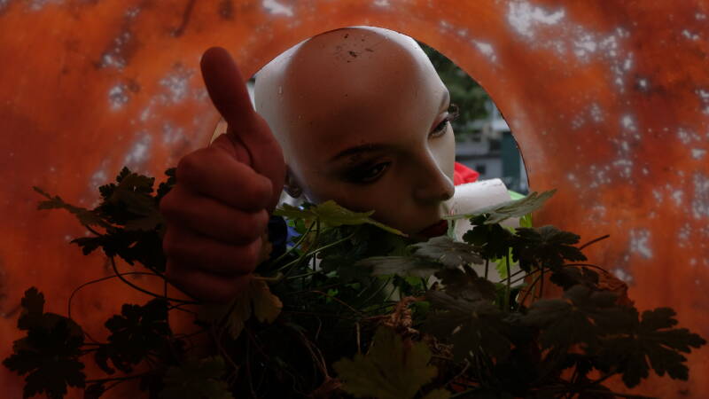 DSCF5571.jpg