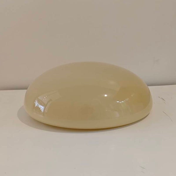Vintage Gispen plafond wand lamp