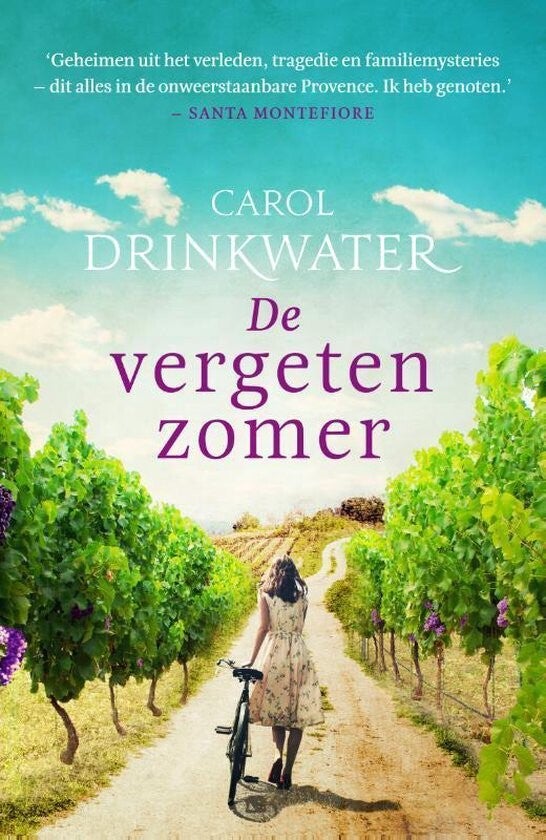 kaft De vergeten zomer - Carol Drinkwater