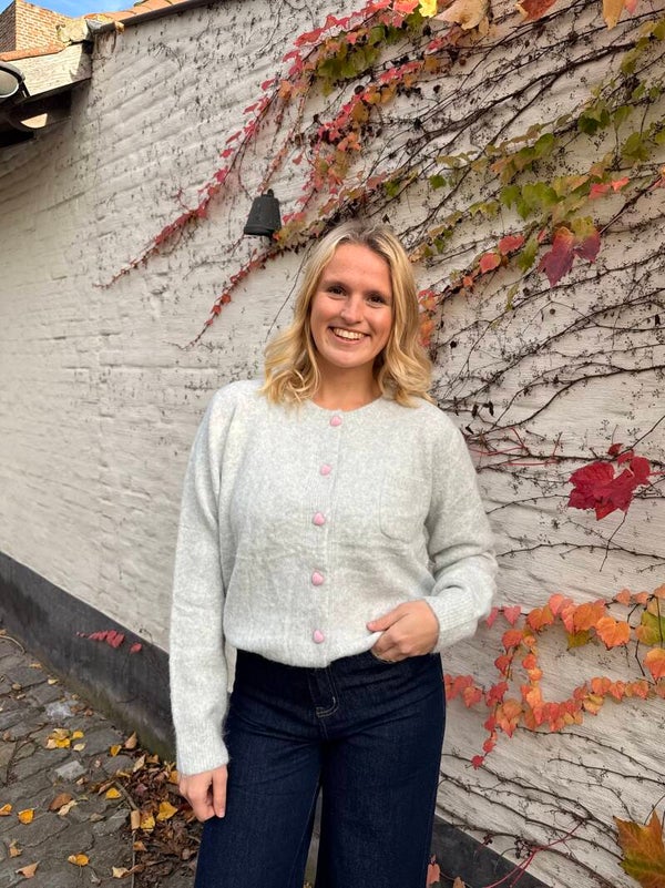 Elena sweater grey pink hearts