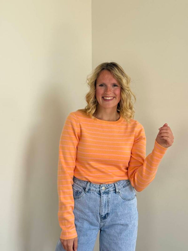 Silke longsleeve orange pink stripes