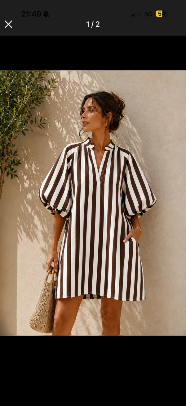 Brenna dress brown white stripes