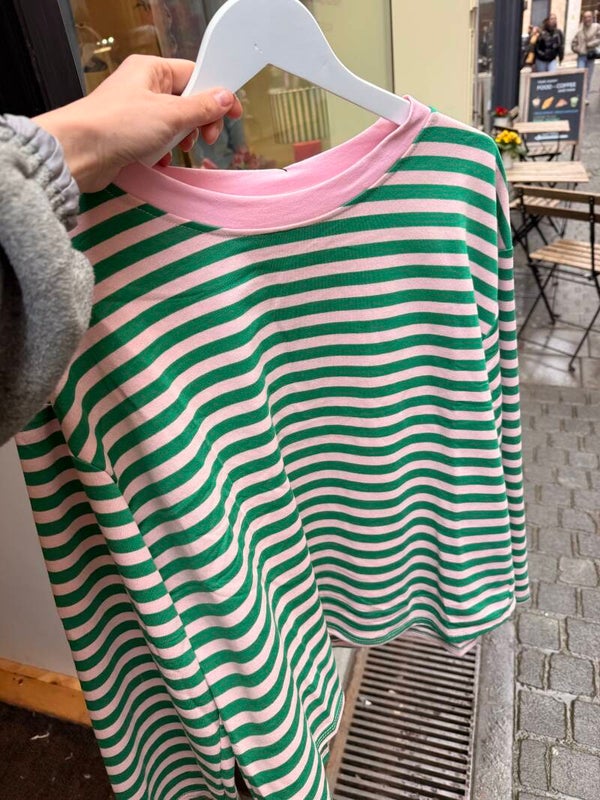 Madelon longsleeve green - pink