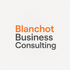 blanchotbusinessconsulting.com.au