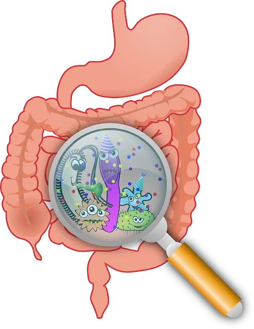 On demand: Webinar: SIBO – Signalen, types en holistische aanpak door Angélique de Beule