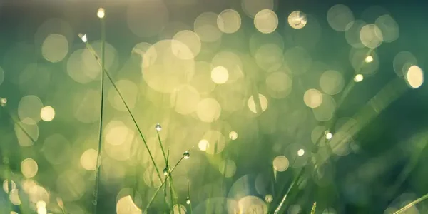 on demand: Webinar: Ontdek de Geheimen van Energie met Pieter Pieters