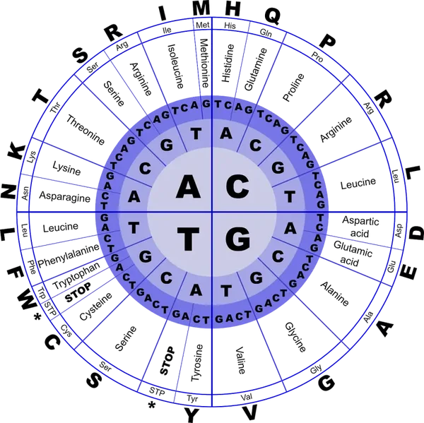 On demand:  Webinar 'alles over Aminozuren' door Wouter de Jong