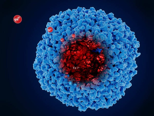 Gratis Webinar Ferritine IT Beurs