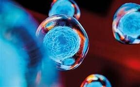 Webinar MCAS nieuwe inzichten 3 juni 2026