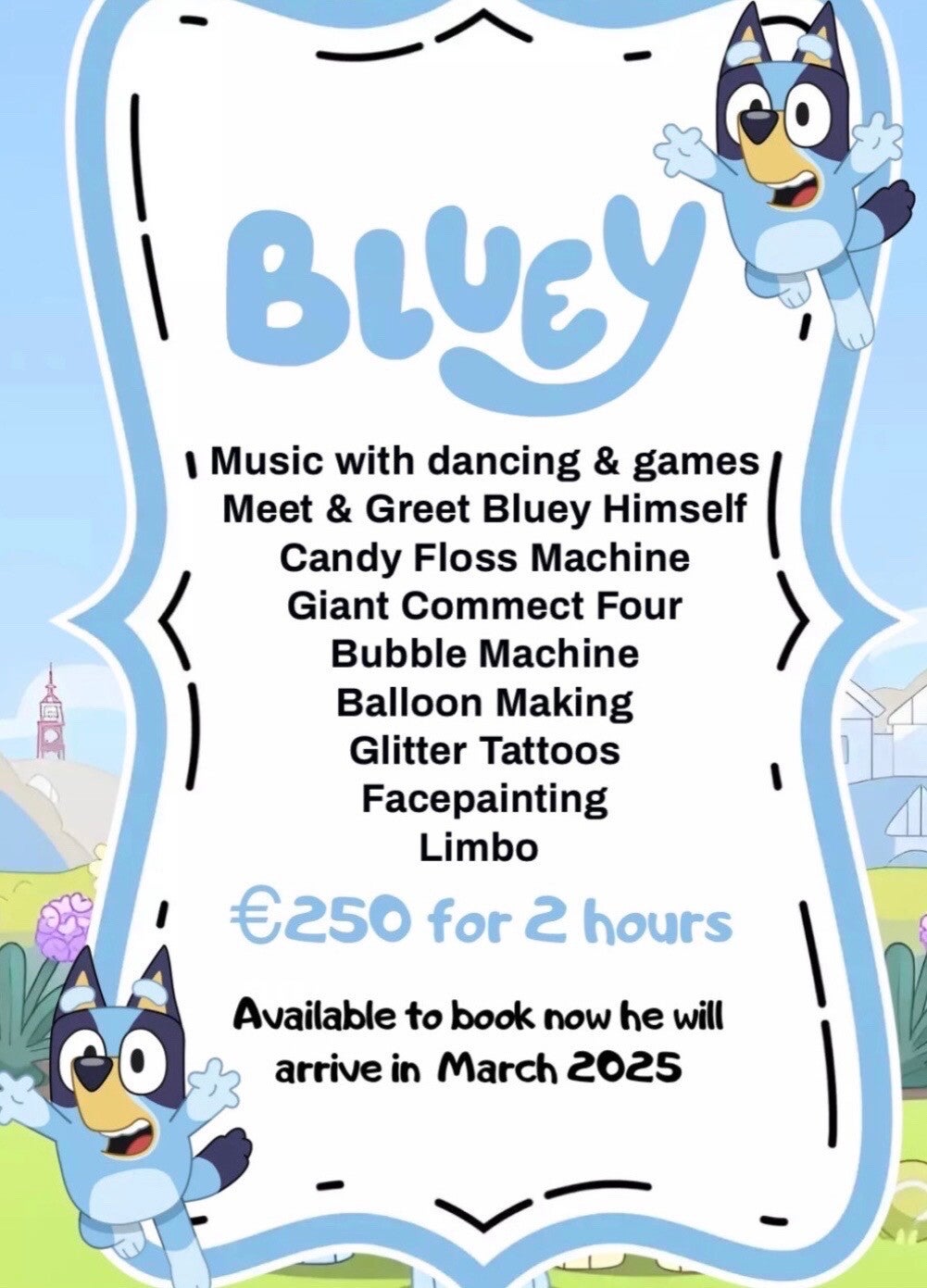 Bluey Party
