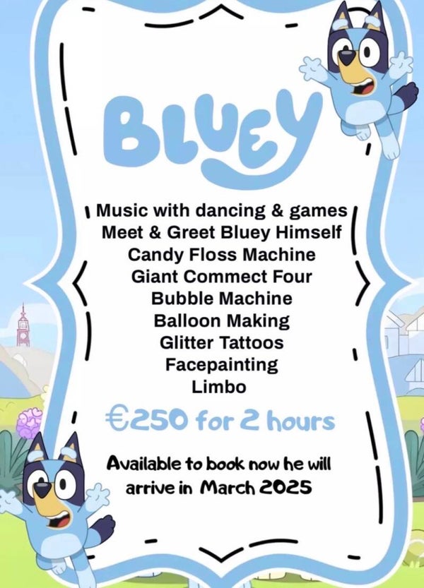 Bluey Party