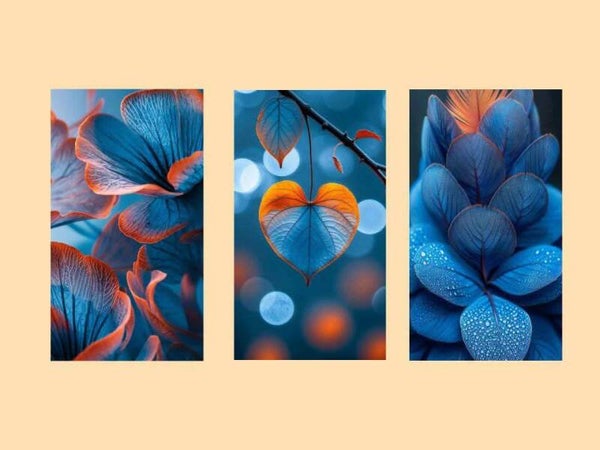 Tableaux fleur bleue