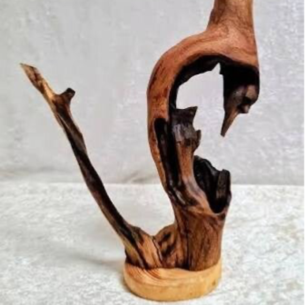 The Wandering Root