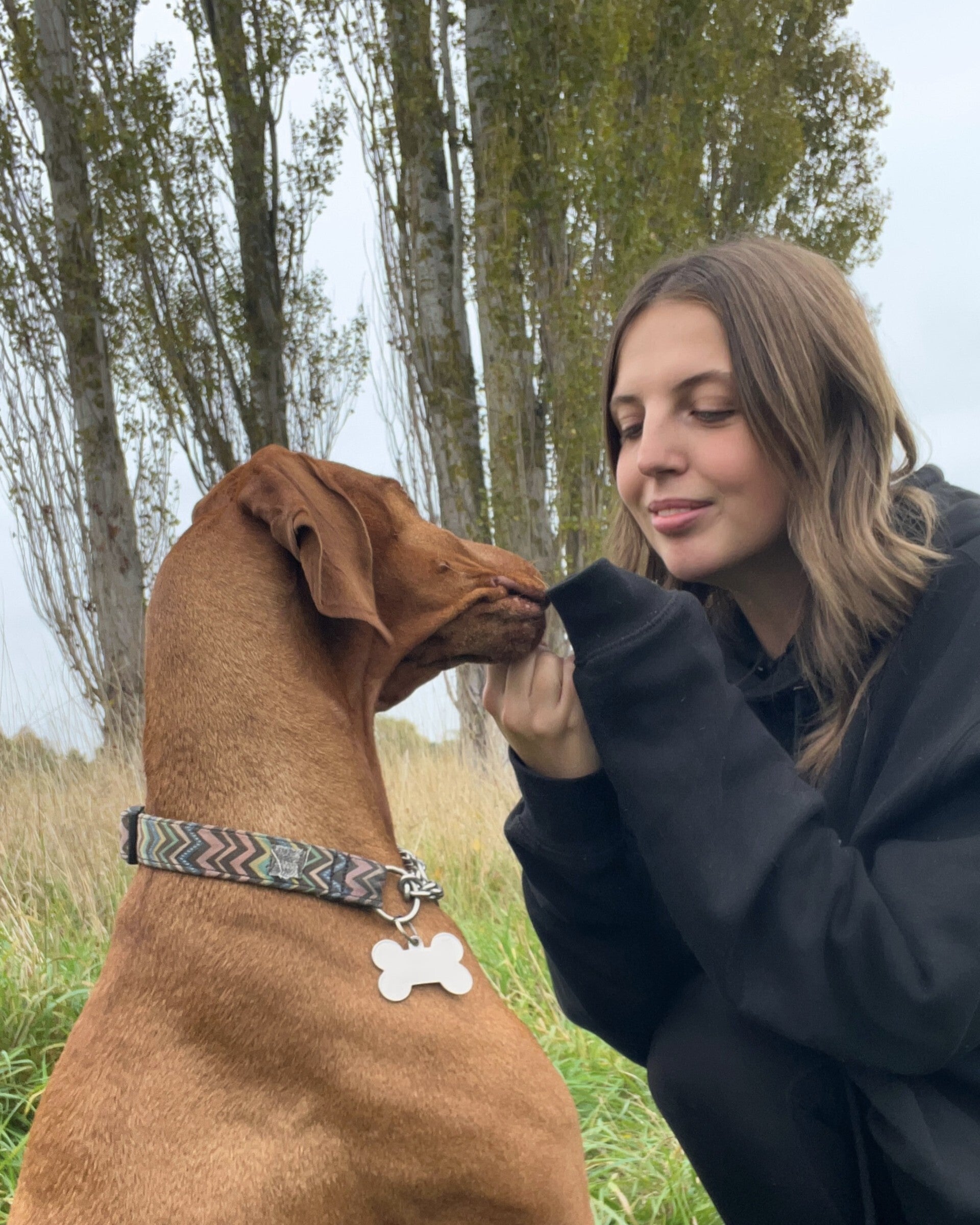 Dog Walking services King's Bromley Fradley Yoxall Handsacre Armitage