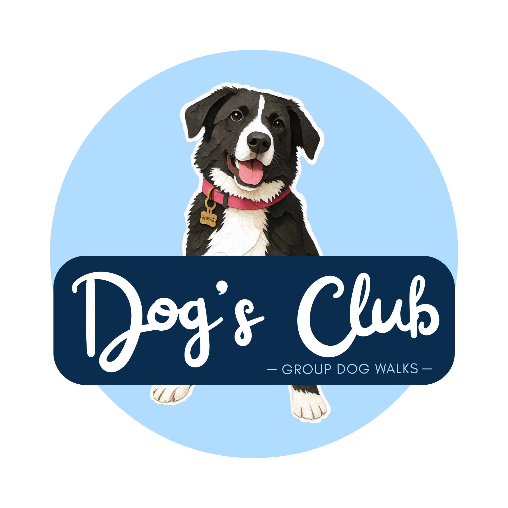 Dog Walking services King's Bromley Fradley Yoxall Handsacre Armitage