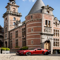 bloesemrit_mustangs_2025-31-standard.jpg
